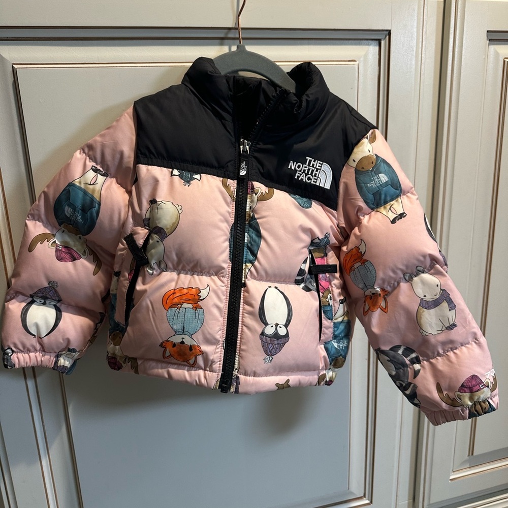Discontinued style 2T girls north face coat